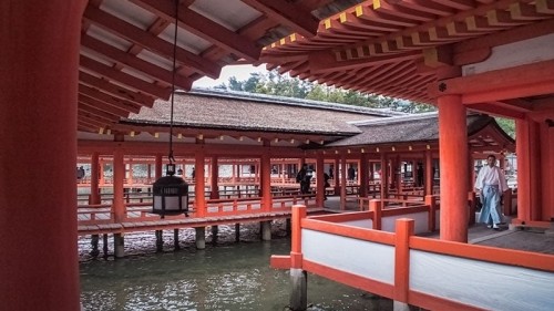 A visitors guide to Miyajima Island, Japan