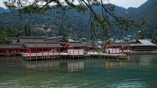 A visitors guide to Miyajima Island, Japan