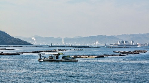 A visitors guide to Miyajima Island, Japan