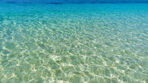 Why should you visit Bahamas? 