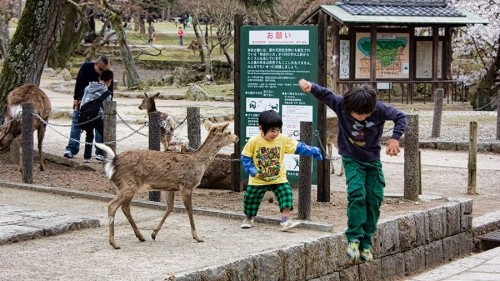 10 Reasons why I Love Nara