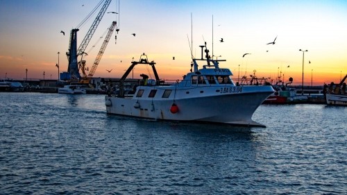 Experiencing Costa Brava's Best Seafood in Palamos