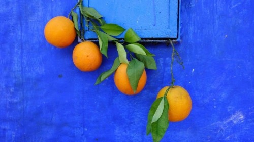 Enter a world of blue in Chefchaouen 