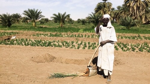 Tales of the Nubian people in Sudan 