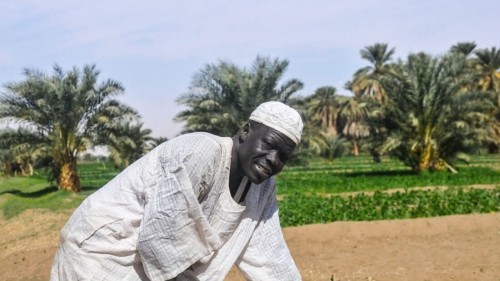 Tales of the Nubian people in Sudan 