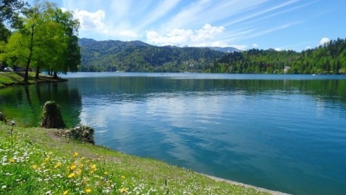 5 reasons you will fall in love with Lake Bled, Slovenia 