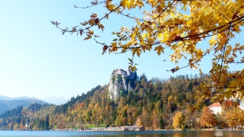 7 Must Things To Do in Bled Slovenia