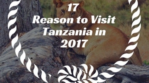 17 Reasons to Visit Tanzania in 2017