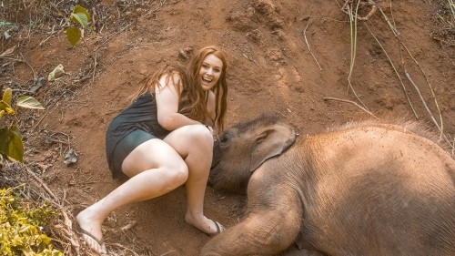 Elephant Experience With Elephant Nature Park In Chiang Mai, Thailand