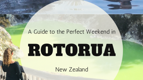 A Guide to the Perfect Weekend Attractions in Rotorua, New Zealand 