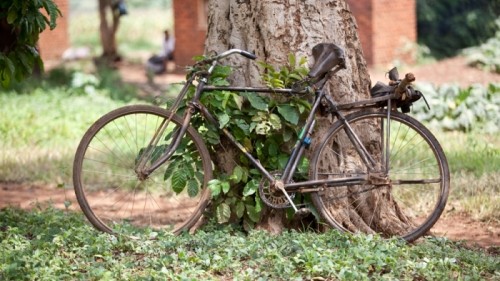 Volunteering in Uganda 