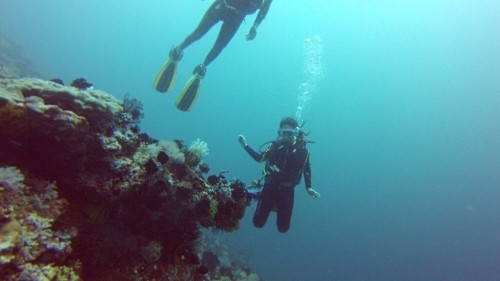 Learning to Dive in the Philippines