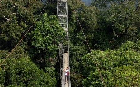 Borneo's fabulous Ulu Temburong National Park 