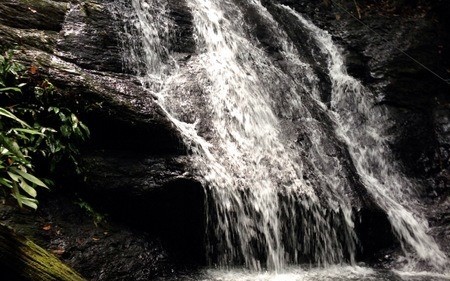 Borneo's fabulous Ulu Temburong National Park 