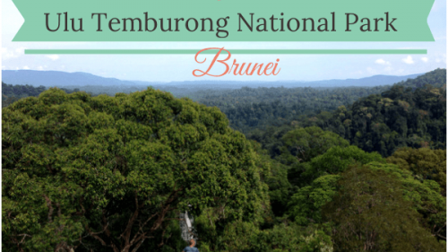 Borneo's fabulous Ulu Temburong National Park 