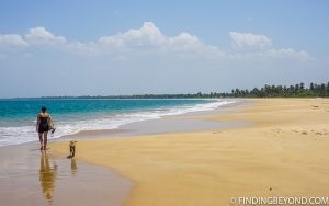 10 Reasons to Visit Sri Lanka. Now! 