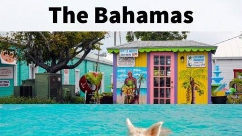Top 5 Best Things To Do In The Bahamas 