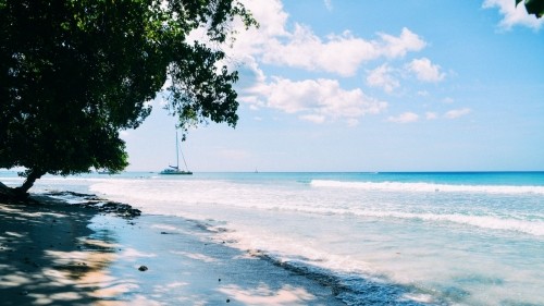 9 Beautiful Caribbean Experiences That Will Make You Love Barbados