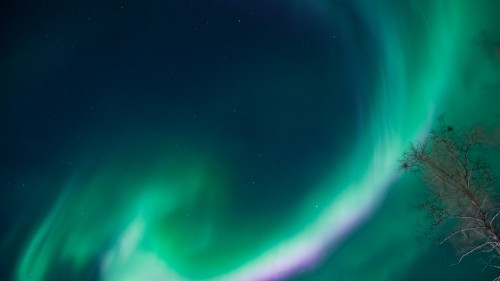 How to See the Northern Lights in Abisko on a Budget