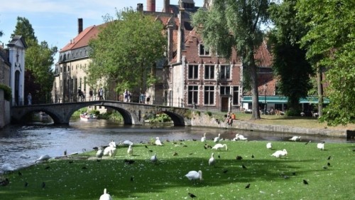 Day Trip to Bruges: 5 places you must see and other tips