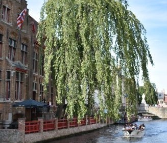 Day Trip to Bruges: 5 places you must see and other tips