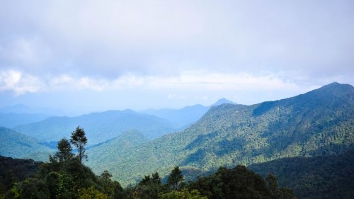 The Ultimate Backpacker's Guide to the Cameron Highlands, Malaysia