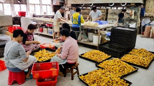 Hong Kong’s Tai Po Market | A Walking Food Tour 