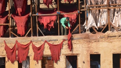 Leather Souq in Fès, Morocco 