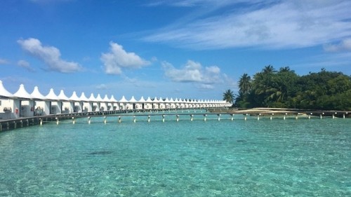 My In-Depth Guide to Experiencing the Maldives