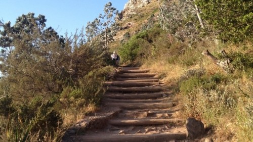 Hiking Lion’s Head in Cape Town 