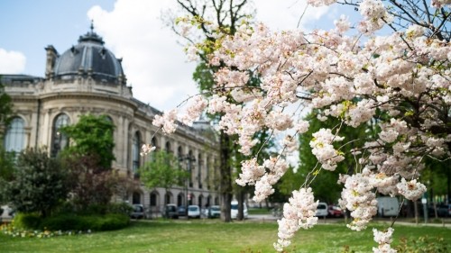 A Week in Paris in Spring
