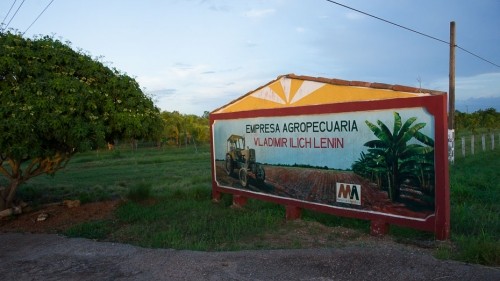Mango Season in Cuba