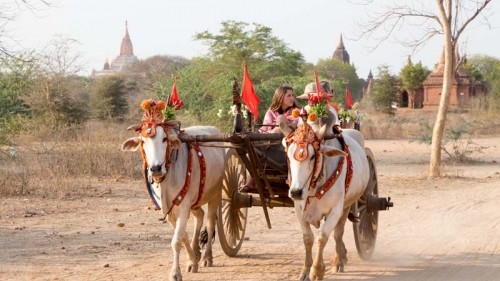 Loving the land of temples on an exotic Myanmar river cruise