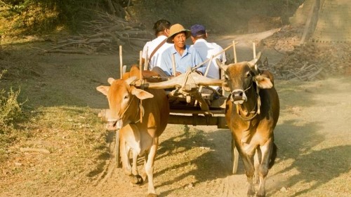 Loving the land of temples on an exotic Myanmar river cruise