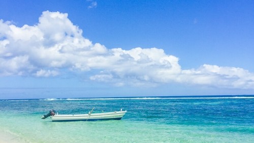 5 best places to visit and things to do in Tonga 