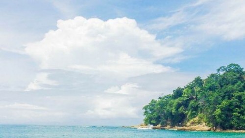 Ultimate Manuel Antonio Guide 