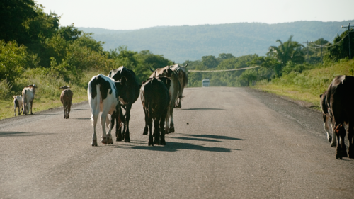 7 Reasons to Visit Santa Cruz while traveling Bolivia