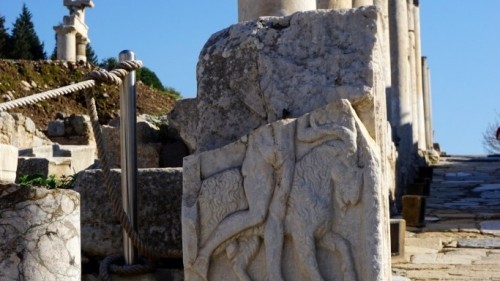 The Ancient City of Ephesus in Turkey & Its Mysterious Cats