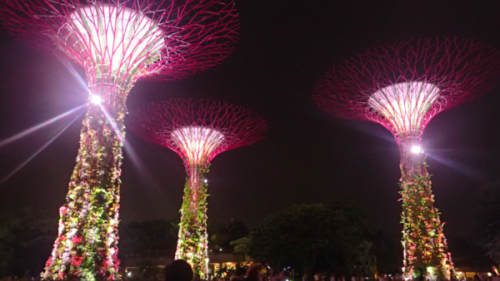 12 Cheap and Easy Things to do in Singapore