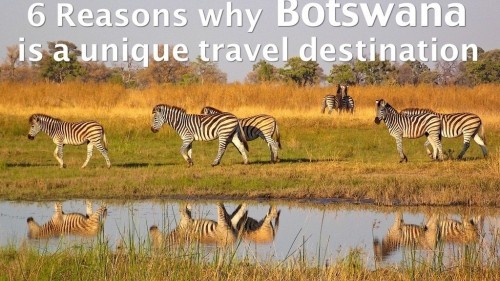 6 Reasons why Botswana is a unique travel destination 