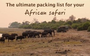 6 Reasons why Botswana is a unique travel destination 