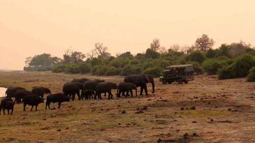 6 Reasons why Botswana is a unique travel destination 