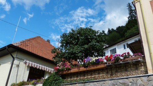 A Walking Guide to Brasov: The heart of Romania 