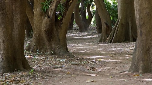 Burkina Faso: Forgotten And Underestimated.