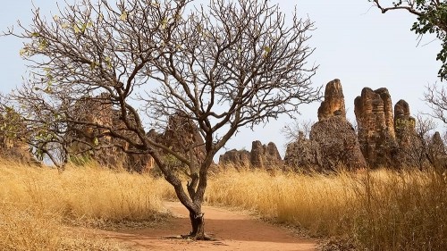 Burkina Faso: Forgotten And Underestimated.