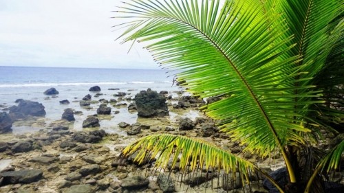 Visiting Kosrae Micronesia