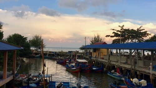 Penang Where Cows Roam Free