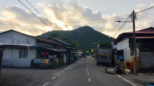 Penang Where Cows Roam Free