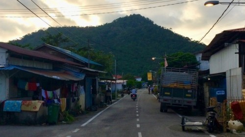 Penang Where Cows Roam Free