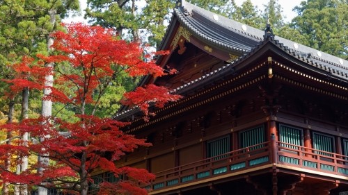 What to Do in Japan in 10 Days or Less